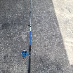 Fishing Pole 9ft Great Shape