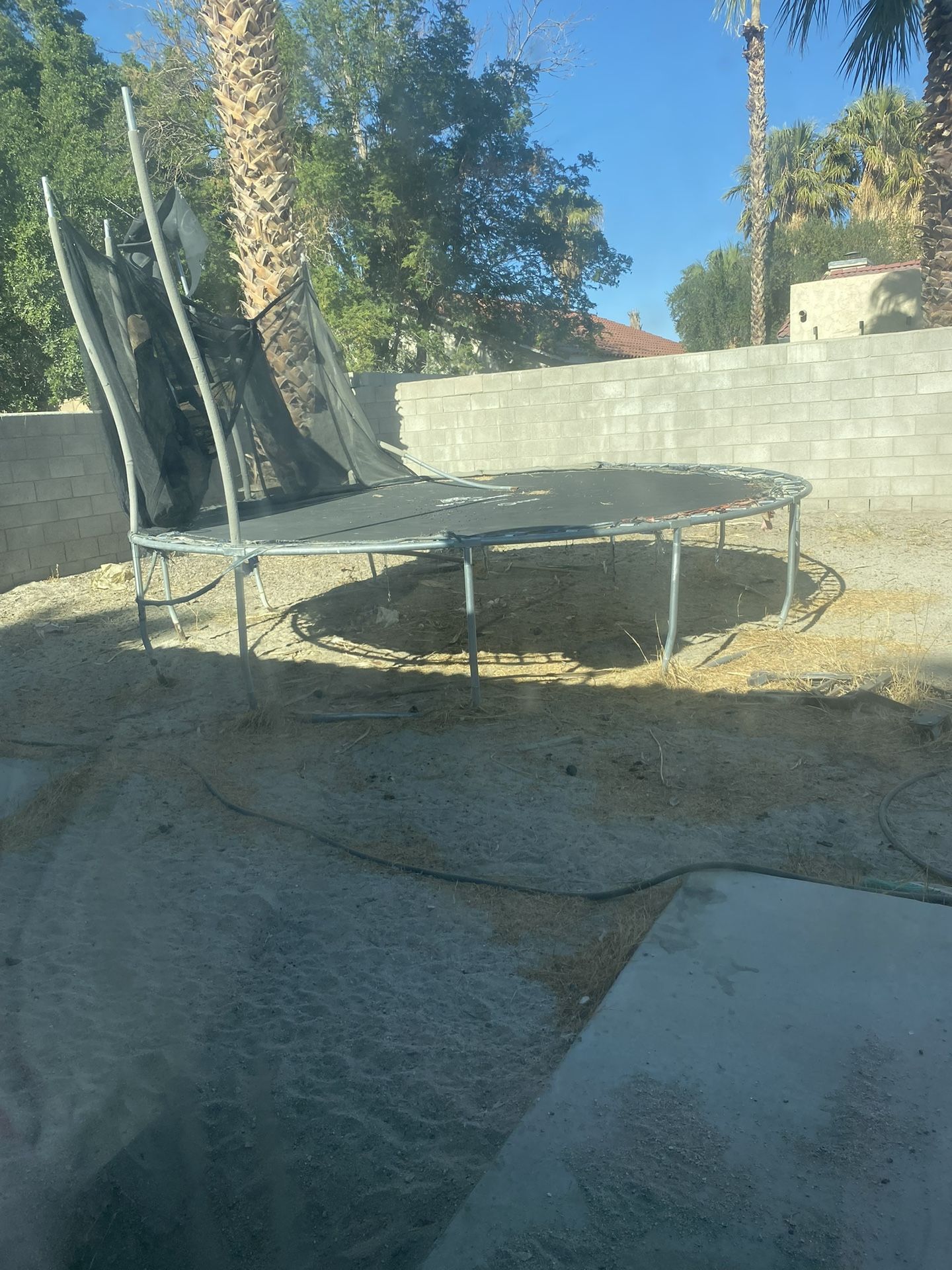 Trampoline