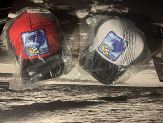 Brand New Road Runner Snapback