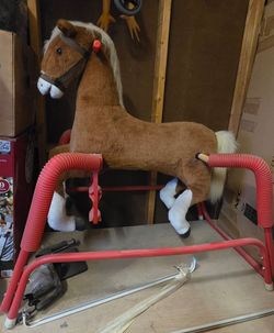 Kids Riding Horse