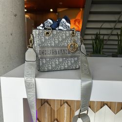 Christian Dior Mini Purse 