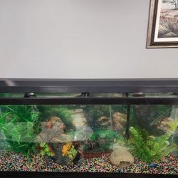 Working Fish Tank Light  And Aqua Clear 110 Filter