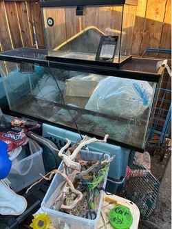 Great starter set for Lizards or  reptiles in general All for $100