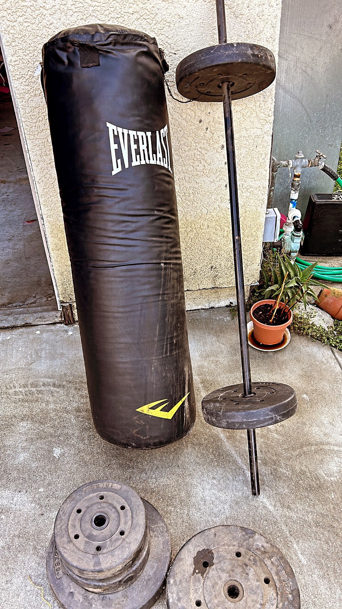 Punching Bag And Weights