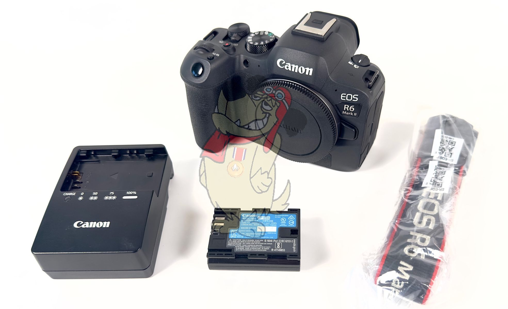 Canon R6 Mark II Camera Body & Accessories