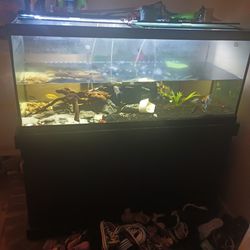 75gallon With Stand 