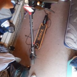 Electric Scooter