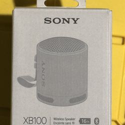 Sony Xb100