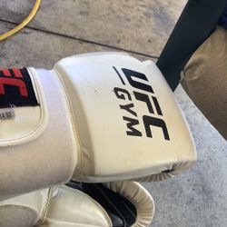 Boxing Gloves 14 Oz
