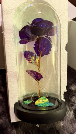 New Glass Dome Rose Beautiful $20