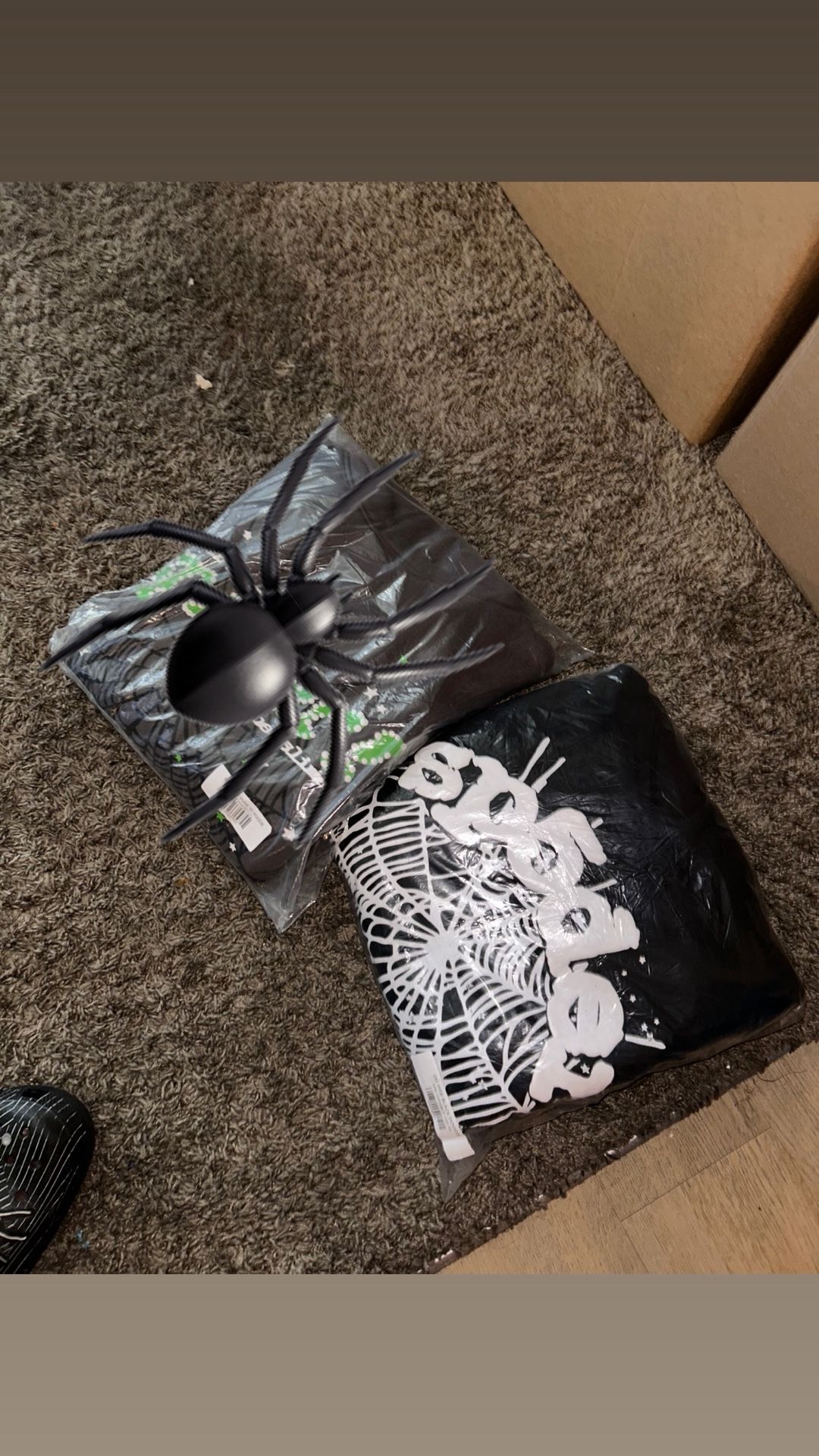 Sp5der OG Web Hoodie