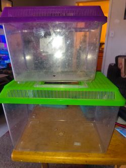 Fish or reptile tank