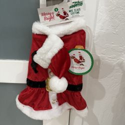 Assorted Dog Clothes 