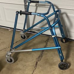 Special Needs Walker 
