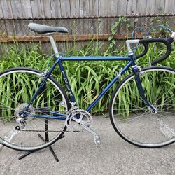 1979 Trek 730 racing bike, 12 speed, 50 cm small, USA

