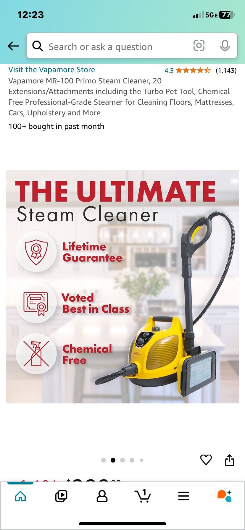 Steam Cleaner