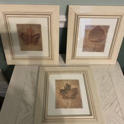 Leaf Picture Lot Qty3