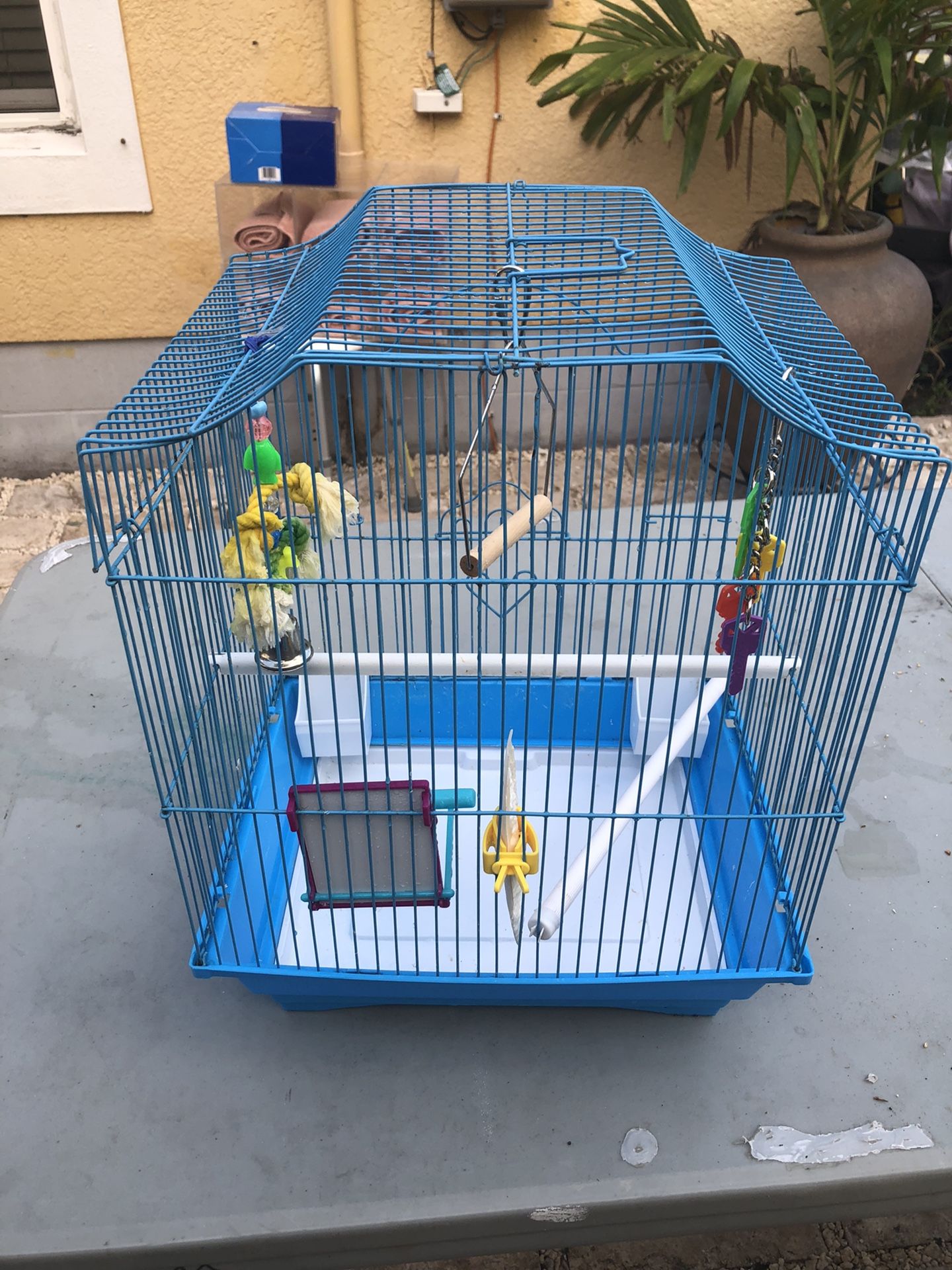 Bird Cage