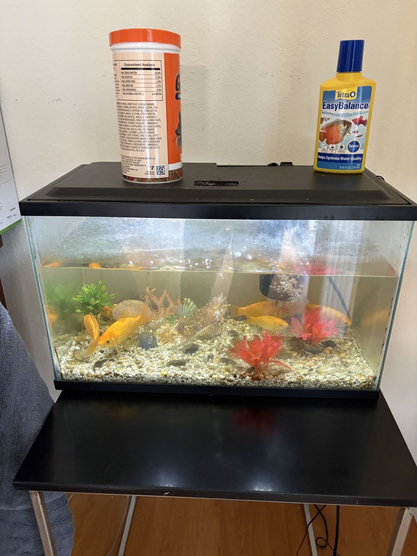 Fish Tank