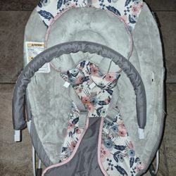 Baby Bouncer