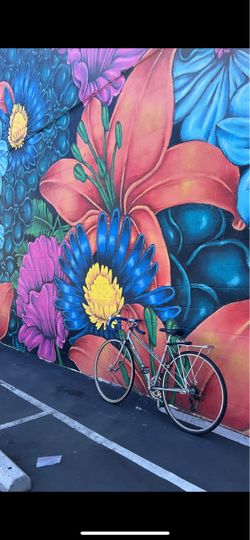 Women’s bike