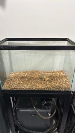 30 Gallons Aquarium