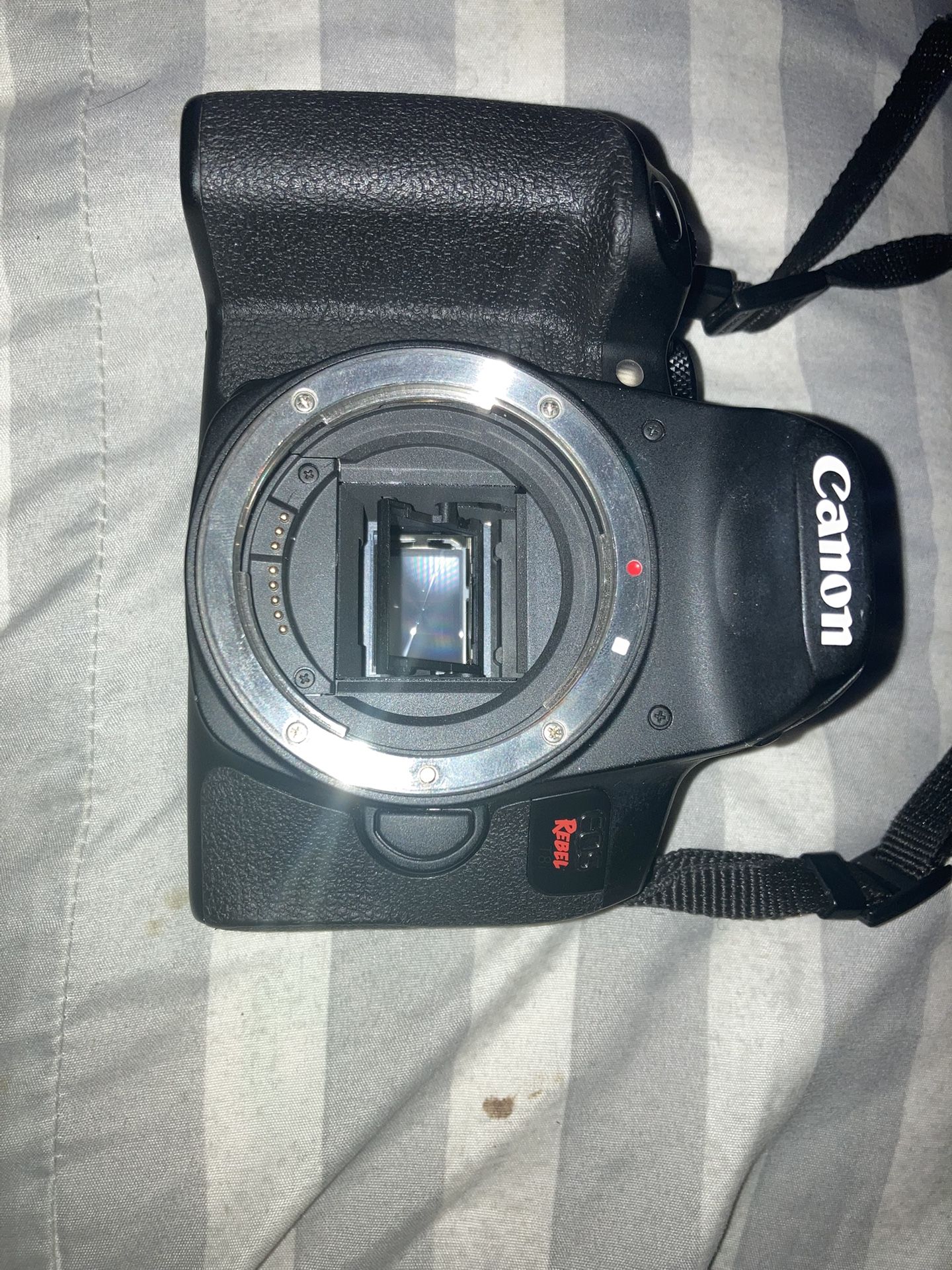 Canon EOS Rebel t8i + Accessories 