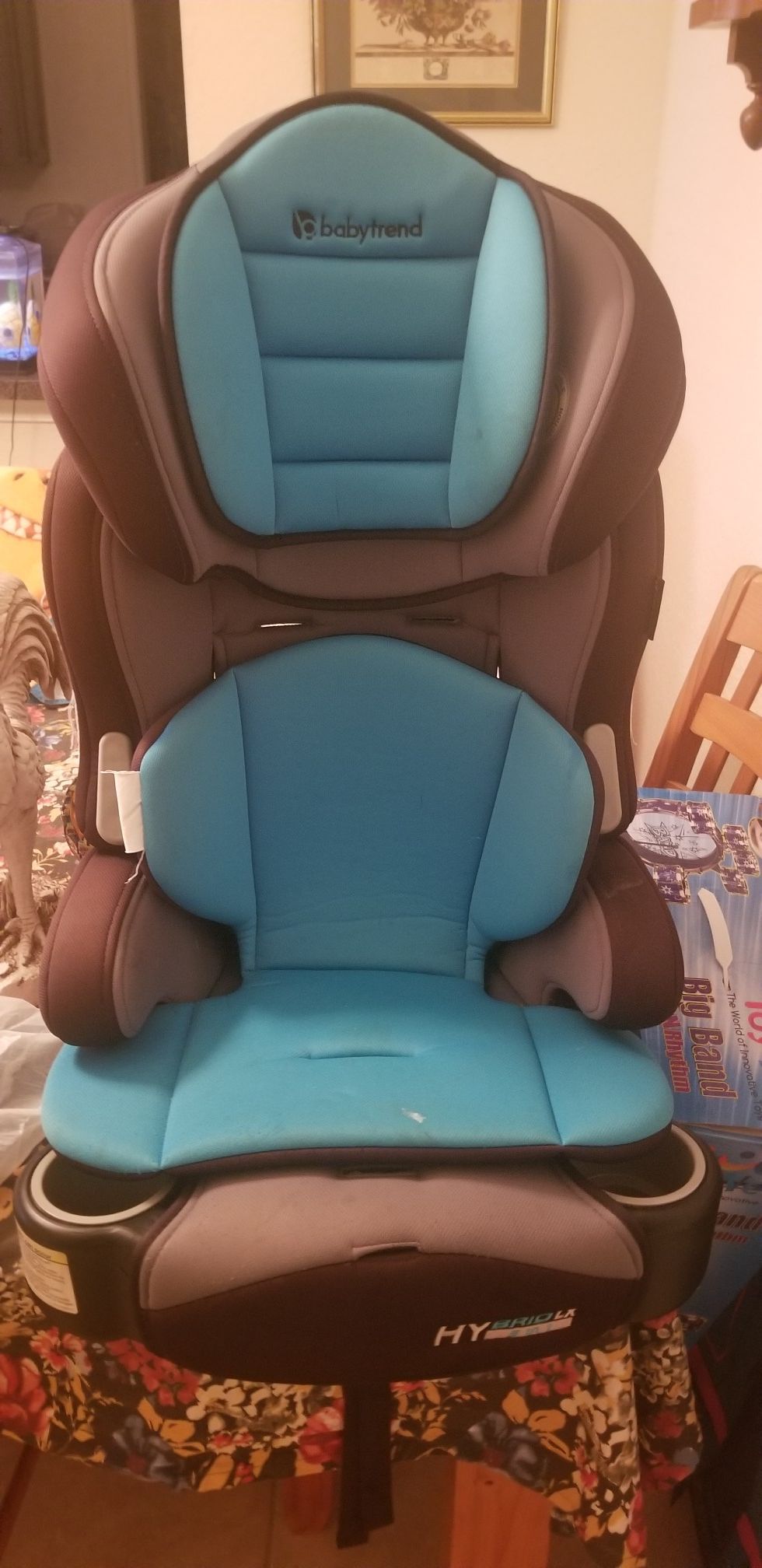 Carseat/booster seat