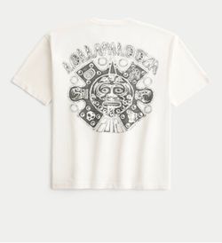 Brand New Hollister Lollapalooza Graphic Tee