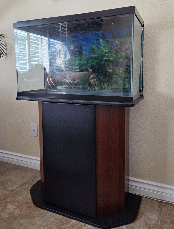 29 Gallon Fish Tank
