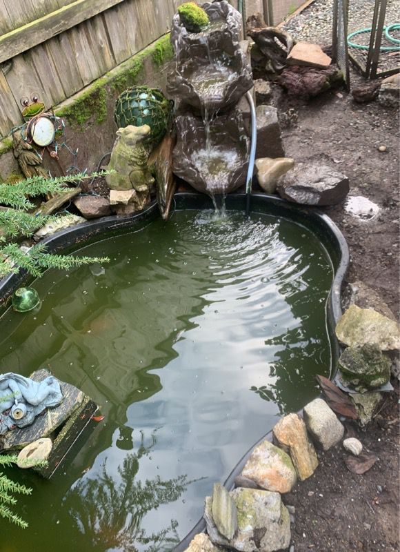 8 foot KOI Pond for Sale in Seattle, WA - OfferUp