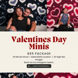 Valentine’s Day Minis