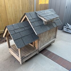 Dog House