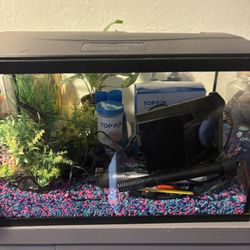 10 Gallon Fish Tank