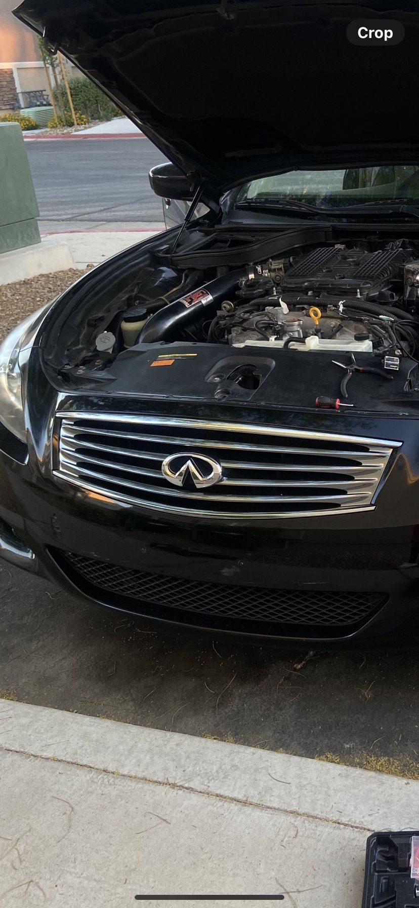 G37 grille