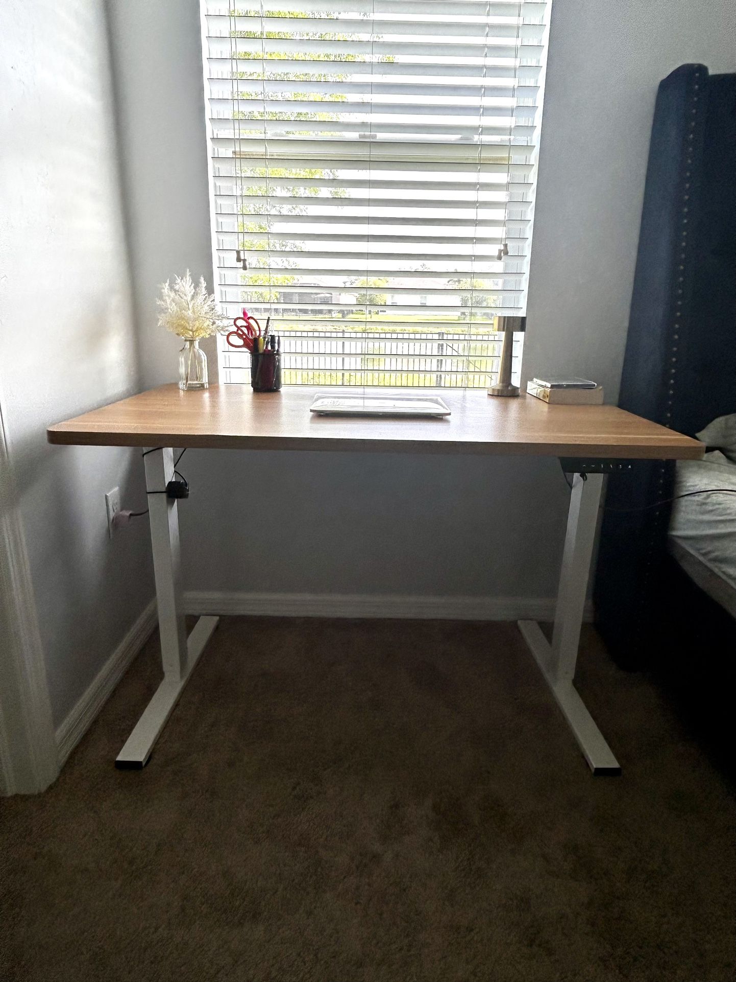Electric Standing Desk 48x30 - Adjustable Stand Up Desk