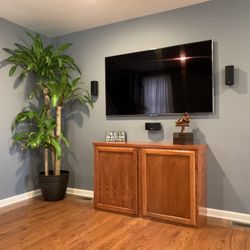 Bose Surround Sound 