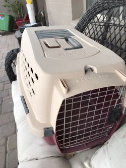 Small dog carrier