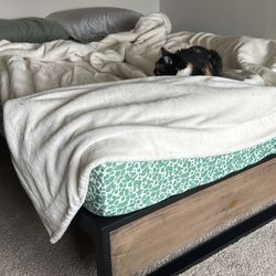 Bed Frame