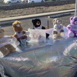 Moblie Build A Bear Business 