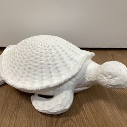 White Turtle 