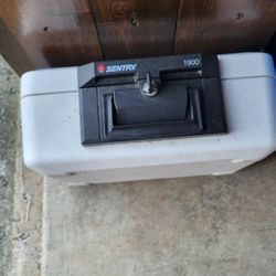 Small Sentury Safe
