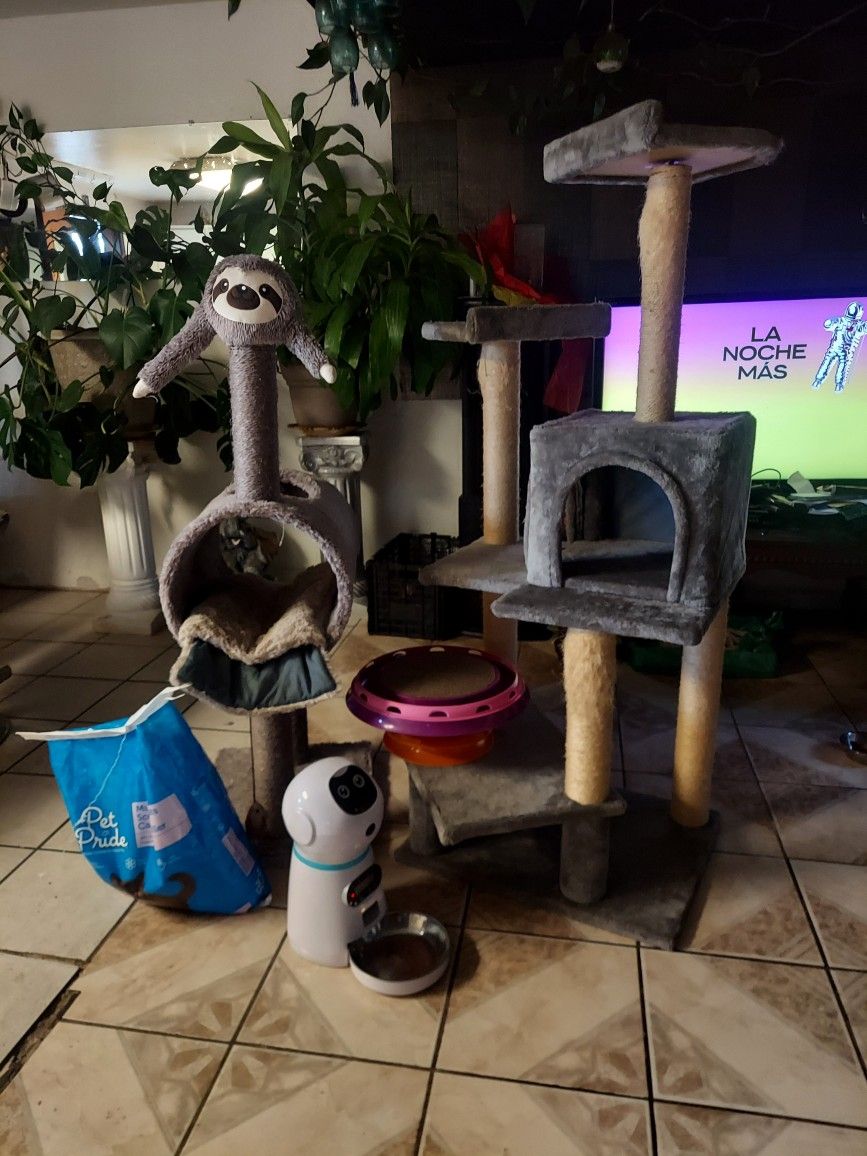 Cat Stuff