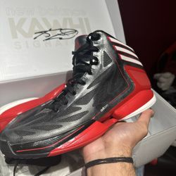 Adidas Crazy Light 2 Derrick Rose