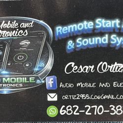 Car Audio & Security System 