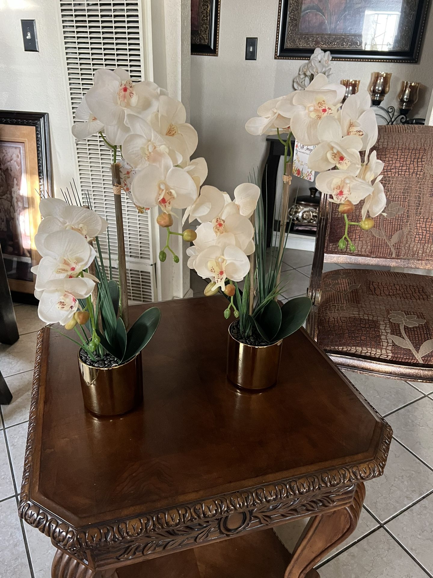 Orquideas