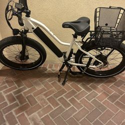600$ Ebike Dirwin Pioneer 