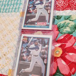 Andre Dawson Chicago Cubs Error 1991 Topps 40th Anniversary Glow Back Baseball Card 