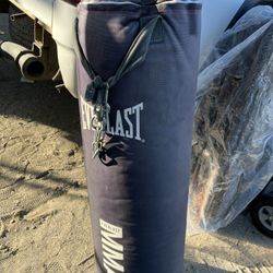 Everlast  punching bag