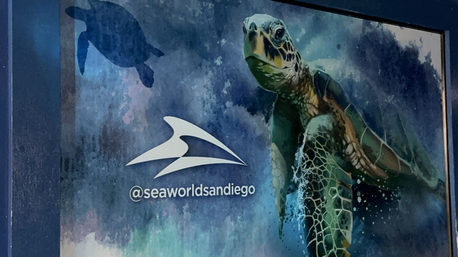 SEAWORLD SAN DIEGO CHRISTMAS 🎅 🎄